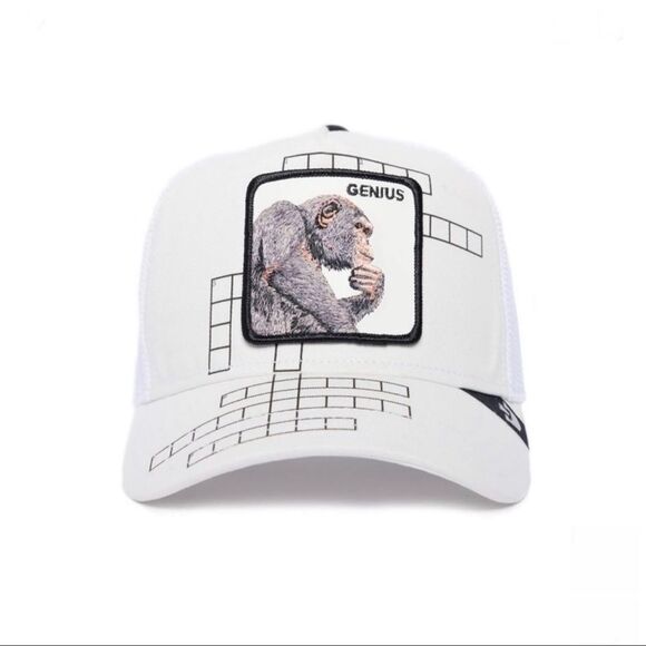 Goorin Bros -“Genius” Limited Circulation Smarty Pants White Nwt - Picture 2 of 9